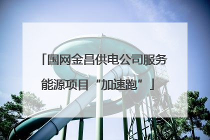 国网金昌供电公司服务能源项目“加速跑”