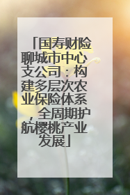 国寿财险聊城市中心支公司：构建多层次农业保险体系，全周期护航樱桃产业发展