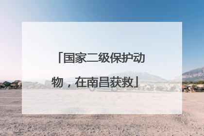 国家二级保护动物，在南昌获救