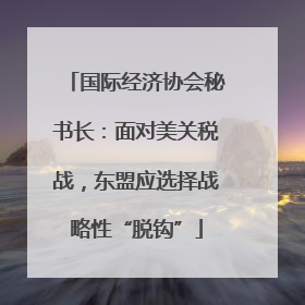 国际经济协会秘书长：面对美关税战，东盟应选择战略性“脱钩”