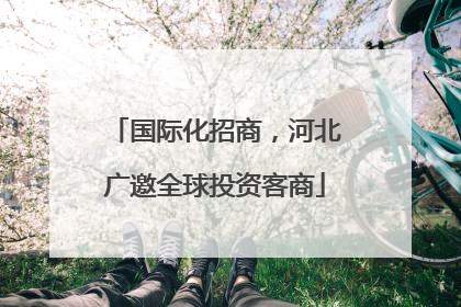 国际化招商，河北广邀全球投资客商