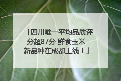 四川唯一平均品质评分超87分 鲜食玉米新品种在成都上线！