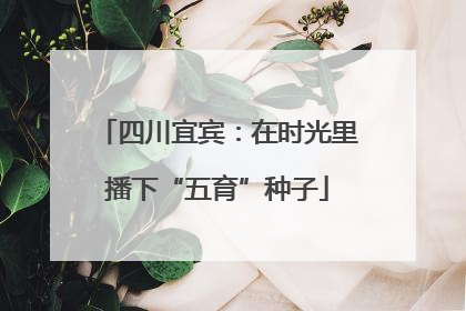 四川宜宾：在时光里播下“五育”种子