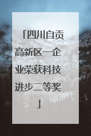 四川自贡高新区一企业荣获科技进步二等奖
