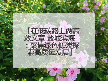 在低碳路上做高效文章 盐城滨海：聚焦绿色低碳探索高质量发展