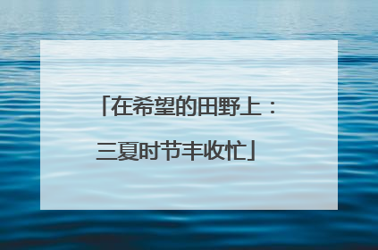 在希望的田野上：三夏时节丰收忙