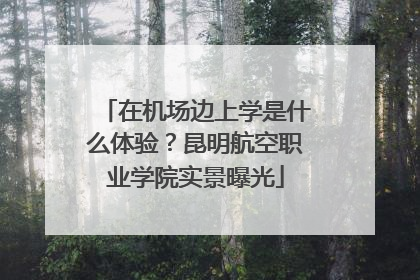 在机场边上学是什么体验？昆明航空职业学院实景曝光
