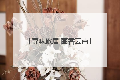 寻味旅居 菌香云南