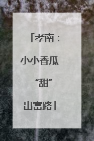 孝南：小小香瓜 “甜”出富路