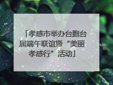 孝感市举办台胞台属端午联谊暨“美丽孝感行”活动