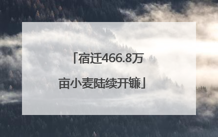 宿迁466.8万亩小麦陆续开镰