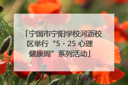 宁国市宁阳学校河沥校区举行“5・25 心理健康周”系列活动
