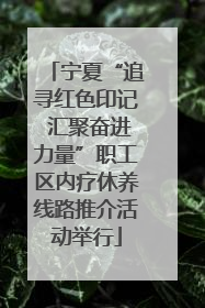 宁夏“追寻红色印记 汇聚奋进力量”职工区内疗休养线路推介活动举行