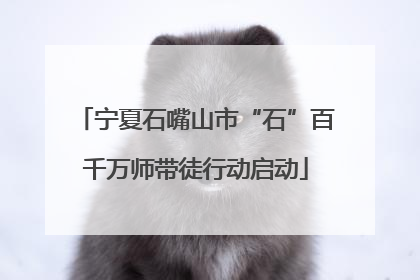 宁夏石嘴山市“石”百千万师带徒行动启动