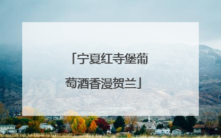 宁夏红寺堡葡萄酒香漫贺兰