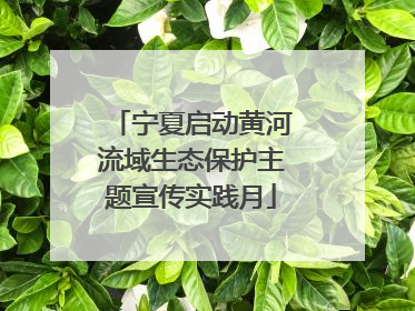 宁夏启动黄河流域生态保护主题宣传实践月