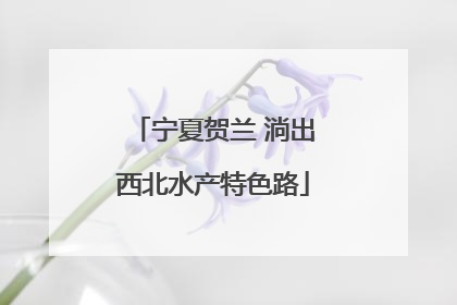 宁夏贺兰 淌出西北水产特色路