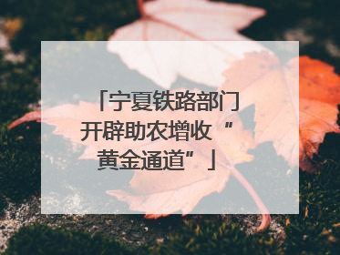 宁夏铁路部门开辟助农增收“黄金通道”
