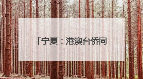宁夏：港澳台侨同胞感受端午氛围