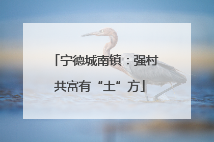 宁德城南镇：强村共富有“土”方