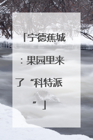 宁德蕉城：果园里来了“科特派”