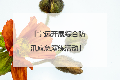 宁远开展综合防汛应急演练活动