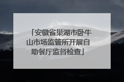 安徽省巢湖市卧牛山市场监管所开展自助餐厅监督检查