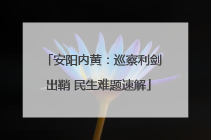 安阳内黄：巡察利剑出鞘 民生难题速解