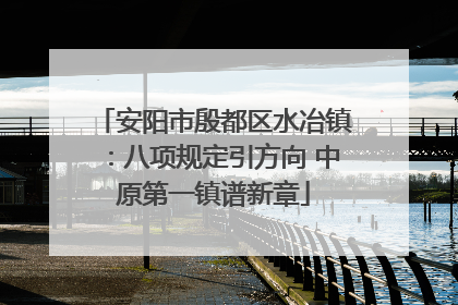 安阳市殷都区水冶镇：八项规定引方向 中原第一镇谱新章