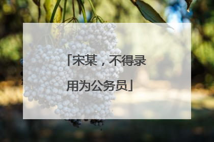 宋某，不得录用为公务员