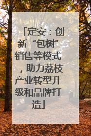 定安：创新“包树”销售等模式，助力荔枝产业转型升级和品牌打造
