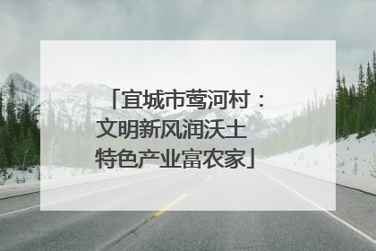 宜城市莺河村：文明新风润沃土 特色产业富农家