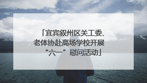 宜宾叙州区关工委、老体协赴高场学校开展“六一”慰问活动