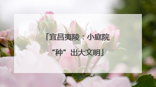 宜昌夷陵：小庭院“种”出大文明