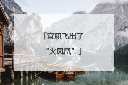 宜职飞出了“火凤凰”