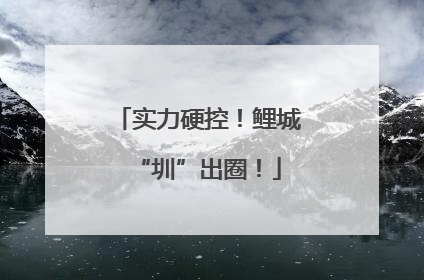 实力硬控！鲤城“圳”出圈！