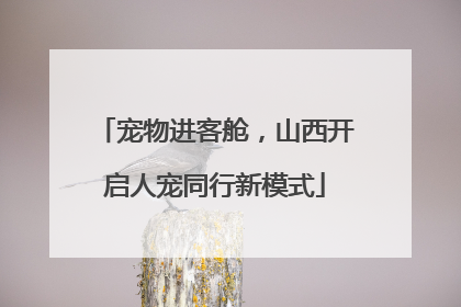 宠物进客舱，山西开启人宠同行新模式