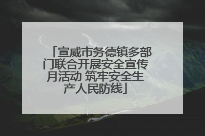 宣威市务德镇多部门联合开展安全宣传月活动 筑牢安全生产人民防线