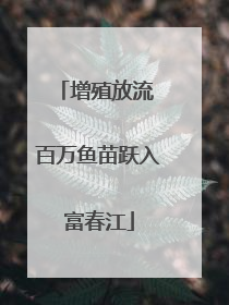增殖放流 百万鱼苗跃入富春江