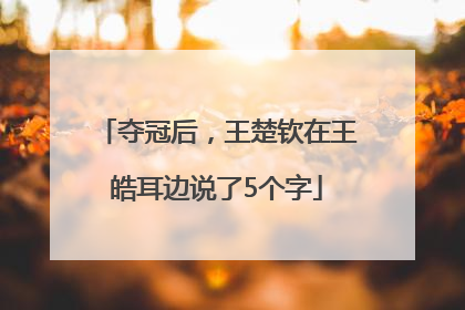 夺冠后，王楚钦在王皓耳边说了5个字