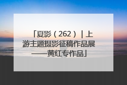 夏影（262）｜上游主题摄影征稿作品展——黄红专作品