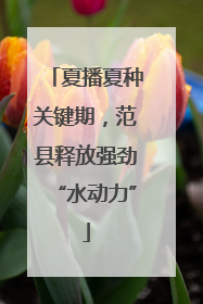 夏播夏种关键期，范县释放强劲“水动力”