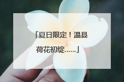 夏日限定！温县荷花初绽……