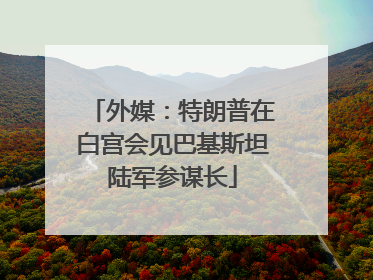 外媒：特朗普在白宫会见巴基斯坦陆军参谋长