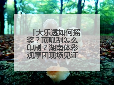 大乐透如何摇奖？顶呱刮怎么印刷？湖南体彩观摩团现场见证“阳光开奖”