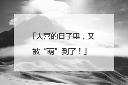 大喜的日子里，又被“萌”到了！