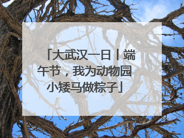 大武汉一日丨端午节，我为动物园小矮马做粽子