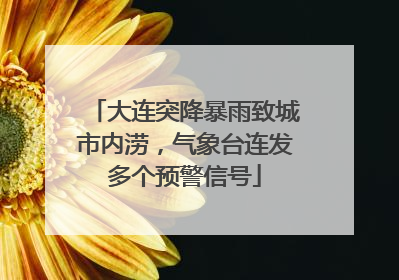 大连突降暴雨致城市内涝，气象台连发多个预警信号