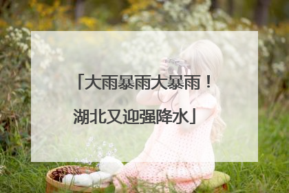 大雨暴雨大暴雨！湖北又迎强降水