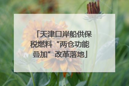 天津口岸船供保税燃料“两仓功能叠加”改革落地